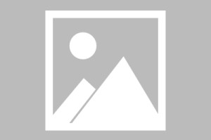 【疫情成语,疫情成语大全 四字成语】